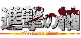 進撃の紬 (attack on titan)