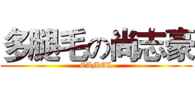 多腿毛の尚志豪 (CAMEL)
