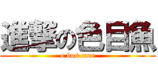 進撃の色目魚 (u bus care)