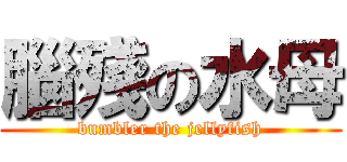 腦殘の水母 (bumbler the jellyfish)