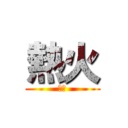 熱火 (冠軍)