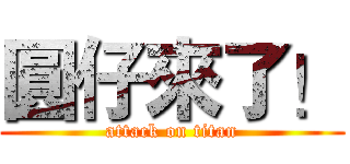 圓仔來了！ (attack on titan)