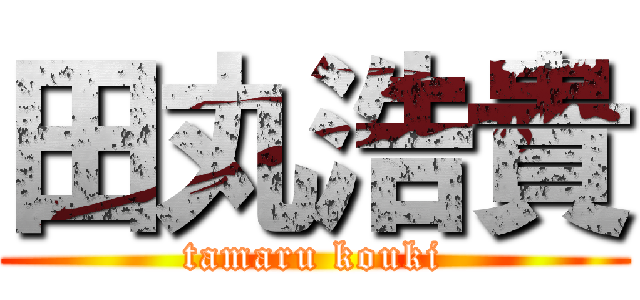 田丸浩貴 (tamaru kouki)