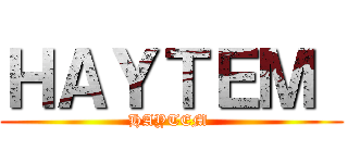 ＨＡＹＴＥＭ  (HAYTEM )