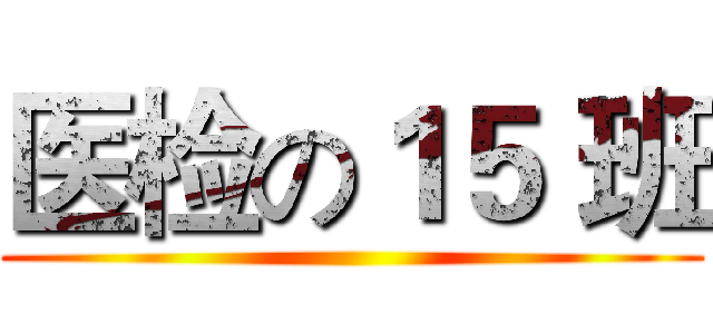 医检の１５ 班 ()