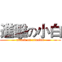 進擊の小白 (attack on xiaobai)