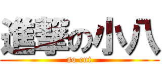 進撃の小八 (so cut)