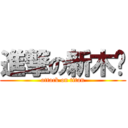 進撃の新木乔 (attack on titan)