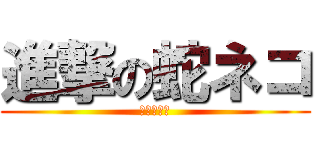 進撃の蛇ネコ (パズドラー)