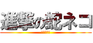進撃の蛇ネコ (パズドラー)