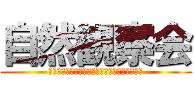 自然観察会 (大地震がもしも起きたら？備える大切さを知ろう)