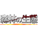 森林の生態 (森林資源生物研究室)