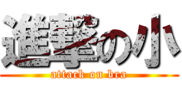 進撃の小 (attack on bra)