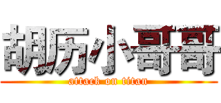 胡历小哥哥 (attack on titan)