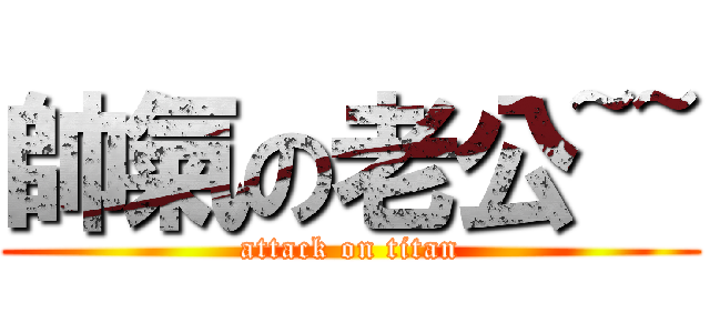 帥氣の老公~~ (attack on titan)