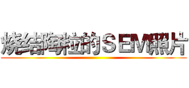 烧结陶粒的ＳＥＭ照片 ()