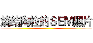 烧结陶粒的ＳＥＭ照片 ()