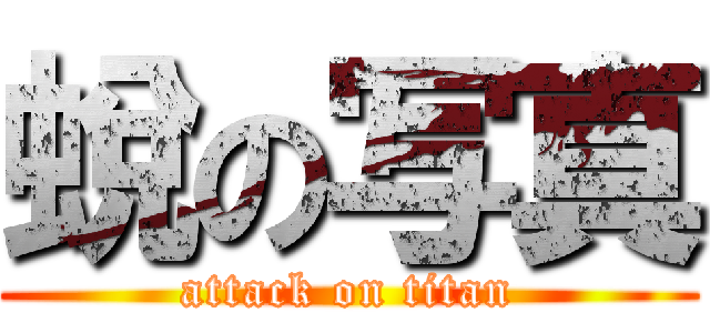 蛻の写真 (attack on titan)