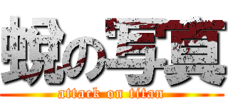 蛻の写真 (attack on titan)