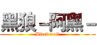 黑狼－阿黑－ (Black wolf)