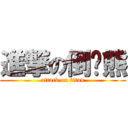 進撃の倒楣熊 (attack on titan)