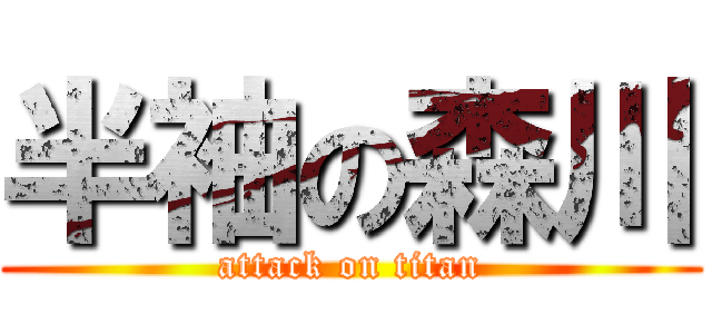 半袖の森川 (attack on titan)