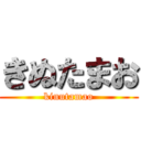 きぬたまお (kinutamao)