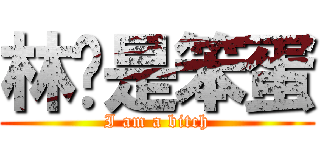 林爸是笨蛋 (I am a bitch)