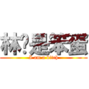 林爸是笨蛋 (I am a bitch)