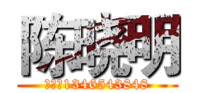 陈晓明 (电话：1346543848)