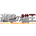 進擊の貓王 (attack on king)