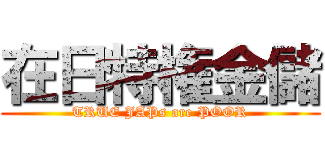 在日特権金儲 (TRUE JAPs are POOR)