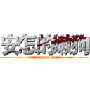安怎的嫩狗 (attack on dog)