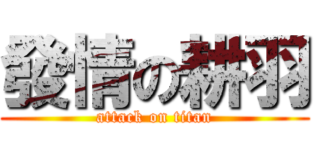 發情の耕羽 (attack on titan)