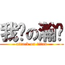 我爱の瀚爷 (attack on titan)