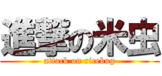 進撃の米虫 (attack on ricebug)