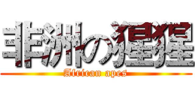 非洲の猩猩 (African apes)