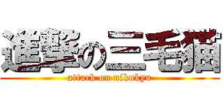 進撃の三毛猫 (attack on nikukyu)