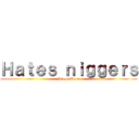 Ｈａｔｅｓ ｎｉｇｇｅｒｓ (NiggerHater)