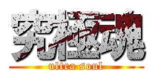 究極魂 (ultra soul)