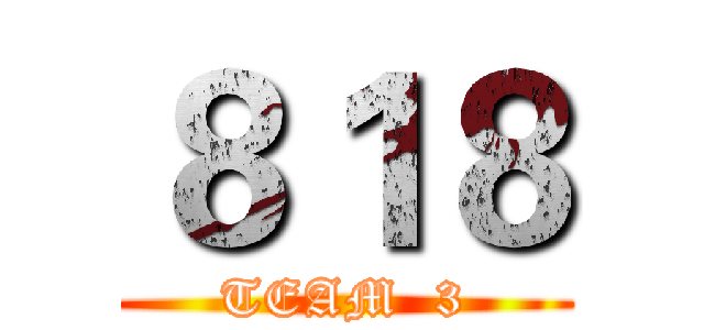 ８１８ (TEAM  3)