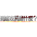 到底在翼德什麼？ ()