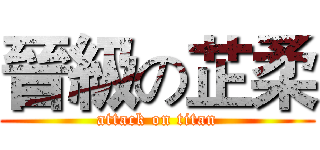 晉級の芷柔 (attack on titan)