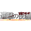 進擊の夜貓 (Do not push and hit)