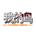 我的鸟 (attack on titan)