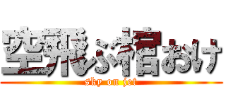 空飛ぶ棺おけ (sky on jet)