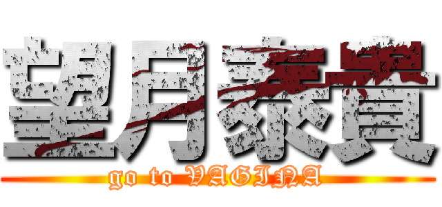 望月泰貴 (go to VAGINA)