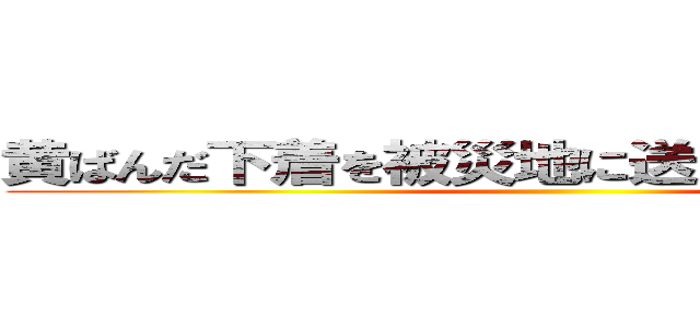 黄ばんだ下着を被災地に送る復興の邪魔者 ()