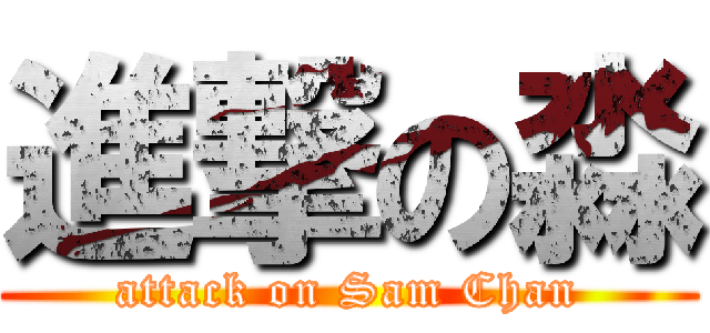 進撃の淼 (attack on Sam Chan)