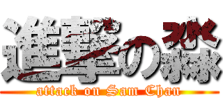 進撃の淼 (attack on Sam Chan)